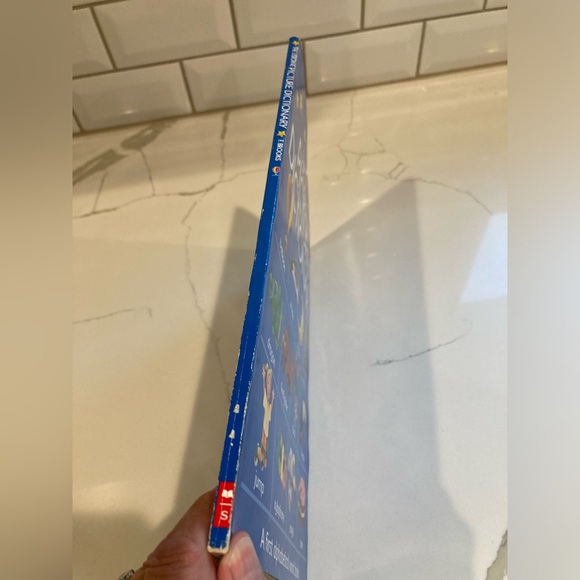 The Usborne picture dictionary a first alphabetical word picture book children - Picture 2 of 9